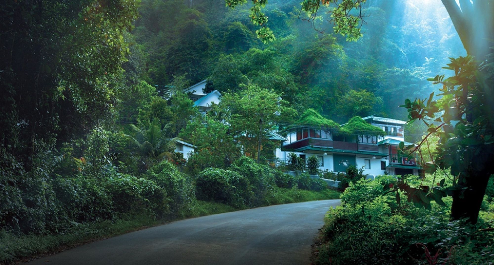 Bellavista Resort Munnar Exterior photo